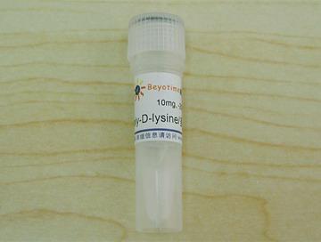 Poly-D-lysine/多聚赖氨酸